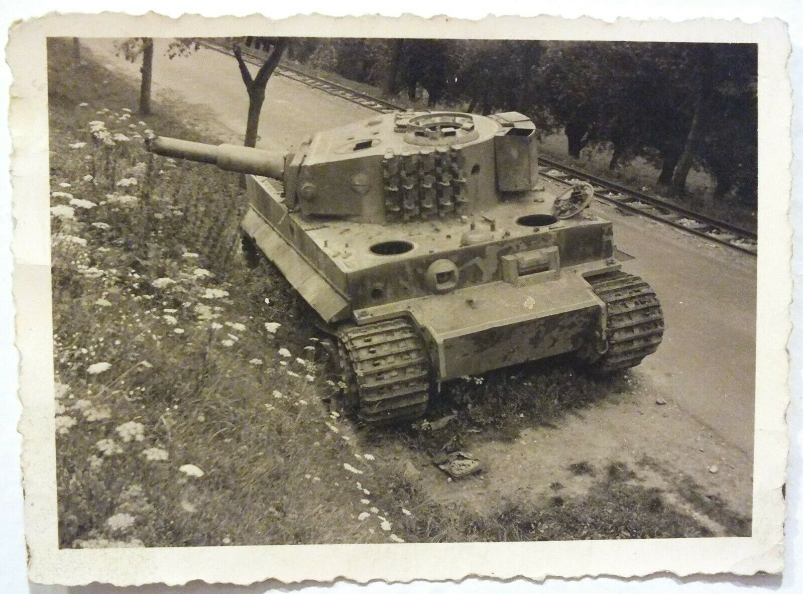 WW2 captured German Tiger I photo